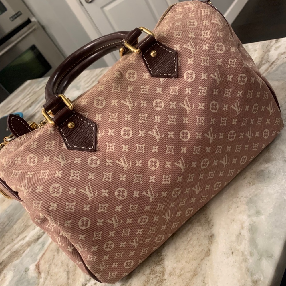 Louis Vuitton Monogram Idylle Speedy
